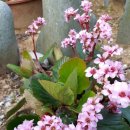 보옥민박 이미지