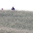 비사벌농장 이미지