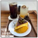 경기농장 | 경기 광주 카페 유칼립투스 농장