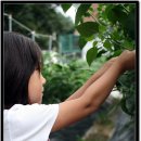 그림앤정원 이미지