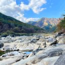 무릉도원면-39 이미지