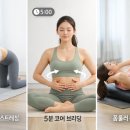 밸런스 앤 브리딩 네이버블로그