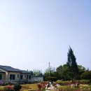 마호네펜션 이미지