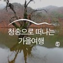 떡버들공원 | 온천의 계절이 시작됐다, 세계지질공원 청송으로 떠나는 가을 여행 :: 청송여행, 청송가볼만한곳, 국내여행