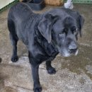 영천산단로 이미지