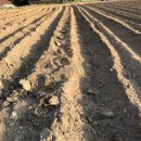 읍내9리 마을회관 이미지