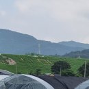 낙화담마을 이미지