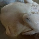 농업회사법인(주)내몸에약초