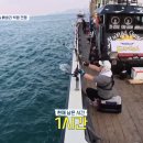 도시어부 금쪽같은 내새끼 이미지