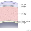 지에스메드 이미지