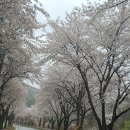 남육기농장 이미지