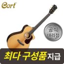 콜트