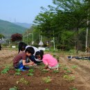 솔솔농장 이미지