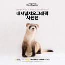내셔널지오그래픽 이미지