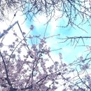 명륜진사갈비대전중촌점 이미지