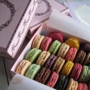 더마카롱 이미지