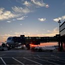 1493 | 경유 후 탄자니아 잔지바르 공항 도착 (QR1493편 탑승 후기, 기내식, 어메니티 + 입국신고서 작성법...