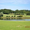 (야)쉽고 예쁜 수채화 | 제주도 노캐디 골프장 2인 플레이 가능한 해비치cc 제주 예약 후기