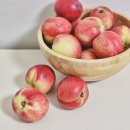 신비농장 | 신비복숭아 신선복숭아 직거래 권가네자연농장 예약주문 후기