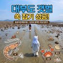 흘곶마을 | [대부도 갯벌체험]아이와 바지락 캐기 딱 좋은'흘곶어촌체험마을'