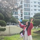 또오이소 이미지