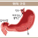 민용태한의원 네이버블로그