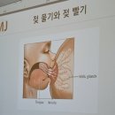 포유문 산후조리원 엠제이모유수유클리닉 원장님 강의 후기