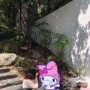 신촌상회 - 충주시 신덕로 1329 | 신촌상회