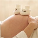 관절영양제 메디코치 맞춤 솔루션 후기