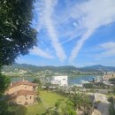 별빛아리수 이미지