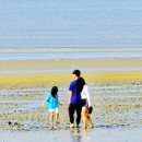 레드피아노 이미지