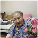 부모사랑재가요양센터 이미지