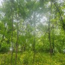 호법보건지소 이미지