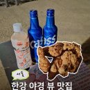 뚝섬한강공원 맛집 한강뷰 보며 치맥 즐기는 필수코스 뚝섬한강공원 치킨 BBQ 한강버스뚝섬점