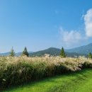 원피스게임랜드 이미지