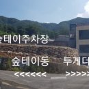 숲테이투게더