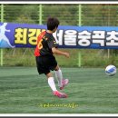 2014 왕중왕전 조촌초 3 vs 1 파주유소년축구클럽(2) 이미지