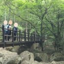 제 1,057차 11월 20일 전북 정읍 입암산(641m), 남창계곡 이미지