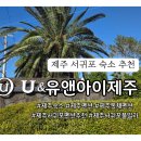 유앤아이펜션 | 제주 서귀포 숙소 독채 풀빌라 펜션 유앤아이제주 내돈내산