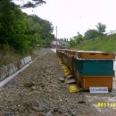 화산농장 이미지