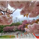 늘푸른전당 헬스장 이미지