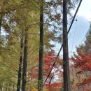 한국폴리텍 IV 대학 홍성캠퍼스 이미지