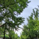 신목중학교 뒤쪽 이미지