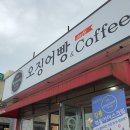 마시와고속터미널점 | [강릉 주문진 디저트/기념품] 마시와, 오징어빵/오징어만쥬 먹어보기
