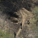 경북 의성군 산불 최초 발화지는 무덤? 이미지