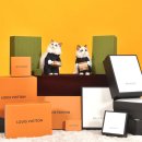 랙돌캐터리 아이돌스 전주고양이분양 이미지