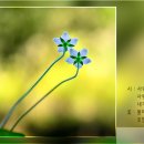 마는끼니 이미지