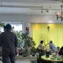 대전 와인바 토스트 | 내추럴 와인 맛집, 낮술 가능한 와인바 후기