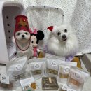 댕킷 | 강아지 수제간식 댕킷 구매후기