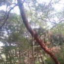 한독유치원 이미지